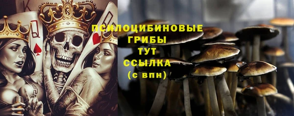 стафф Балахна