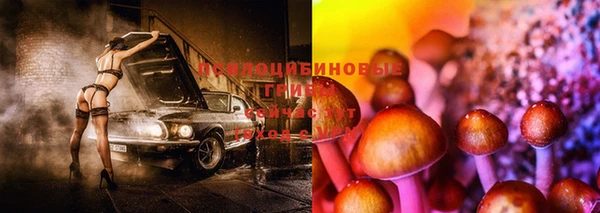 стафф Балахна
